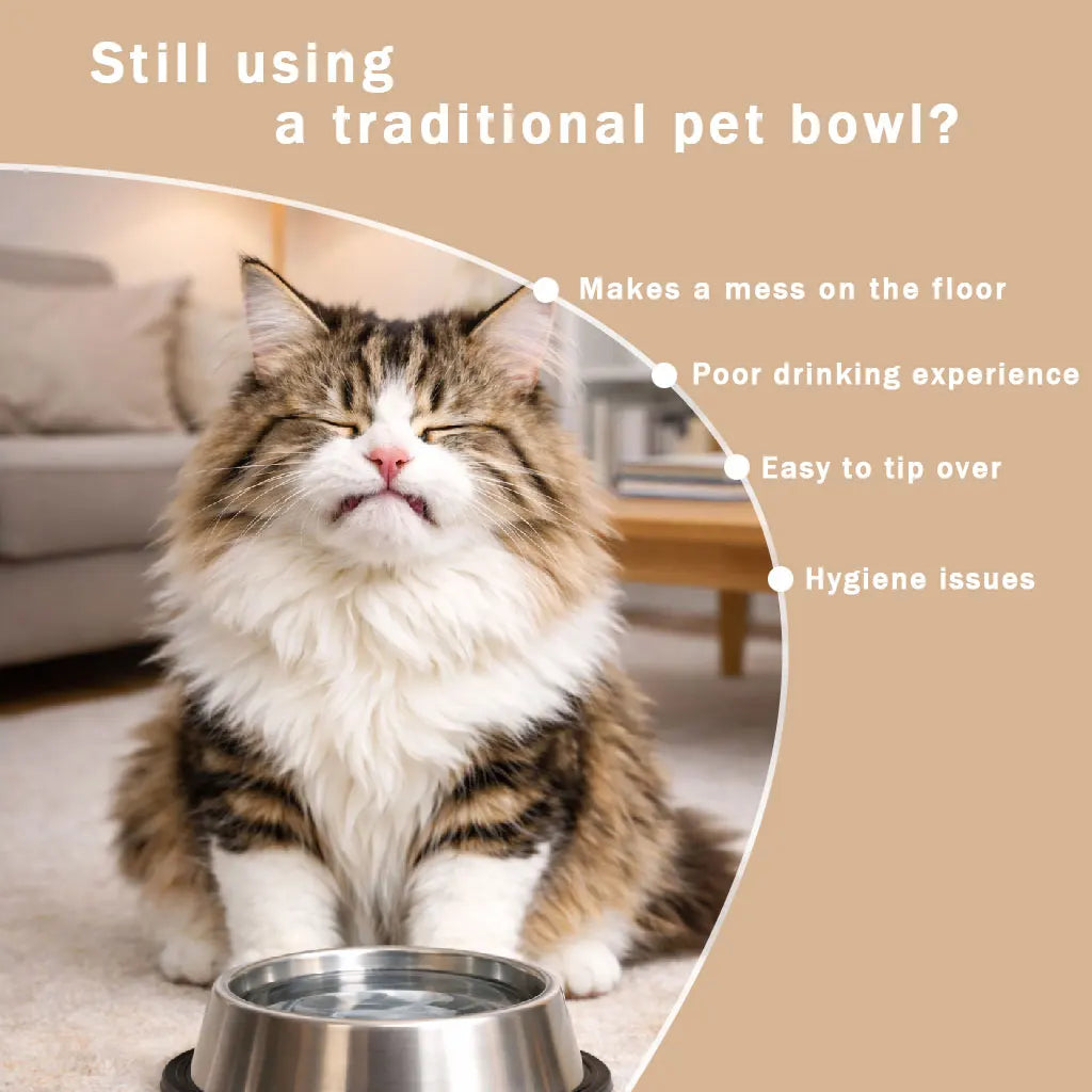 Non-Slip Anti-Choking Slow Feeder Dog Bowl - 3/4 Cup Capacity for Liquid Treats and Lickable Snacks
